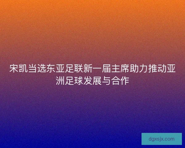 宋凯当选东亚足联新一届主席助力推动亚洲足球发展与合作